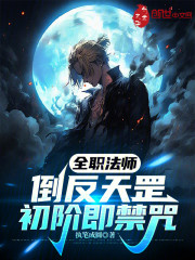 全职法师：倒反天罡，初阶即禁咒