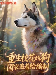重生护林犬，校花让我硬刚虎王？
