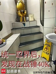 统一忍界后，发现在战锤40K