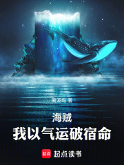 海贼：我以气运破宿命