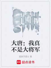 大唐：我真不是大将军