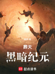 葬天：黑暗纪元