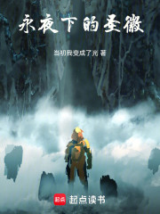 永夜下的圣徽