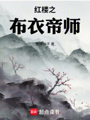 红楼之布衣帝师