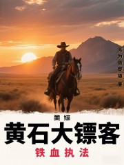 美综：黄石大镖客，铁血执法！