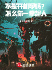 不是开机甲吗？怎么你一拳超人！