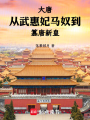 大唐：从武惠妃马奴到篡唐新皇