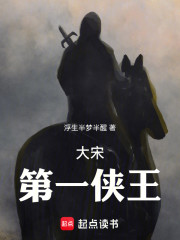 大宋第一侠王
