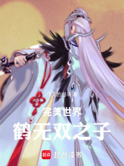 完美世界：鹤无双之子
