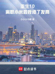 重生10，离职小米后我成了友商