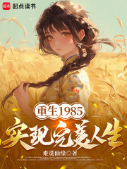 重生1985，实现完美人生