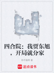 四合院：我贾东旭，开局就分家