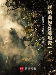 朕的奥匈还能抢救一下