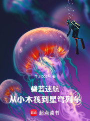 碧蓝迷航：从小木筏到星穹列车