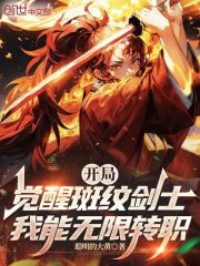 开局觉醒斑纹剑士，我能无限转职