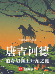 唐吉诃德的奇幻领土开拓之旅