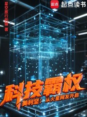 美利坚：从火星网友开启科技霸权