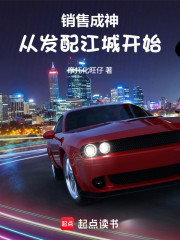 销售成神，从发配江城开始