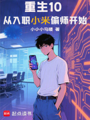 重生10：从入职小米偷师开始