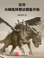 巫师：从精炼冥想法图鉴开始