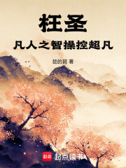 枉圣：凡人之智操控超凡