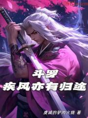 斗罗：疾风亦有归途