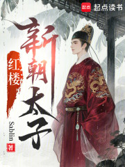红楼：新朝太子