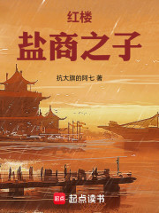 红楼：盐商之子