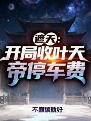 遮天：开局收叶天帝停车费