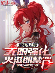 全职法师：无限强化，火滋即禁咒