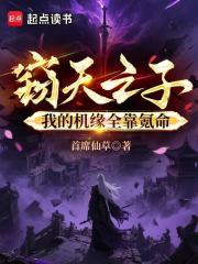 窃天之子：我的机缘全靠氪命