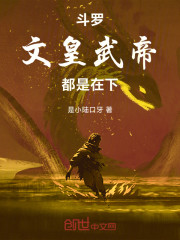 斗罗：文皇武帝都是在下