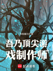 说好顶级游戏，怎么全是半成品