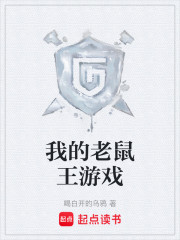 我的老鼠王游戏