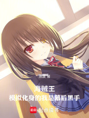 海贼王：模拟化身的我是幕后黑手
