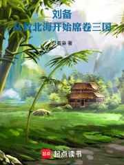 刘备：从救北海开始席卷三国