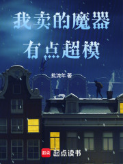 我卖的魔器有点超模