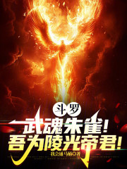 斗罗：武魂朱雀！吾为陵光帝君！