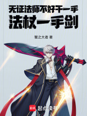 无证法师不好干一手法杖一手剑