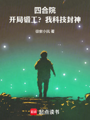 四合院：开局锻工？我科技封神！