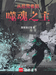 从拾荒者到噬魂之主