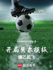 开局贝尔模板，德乙起飞