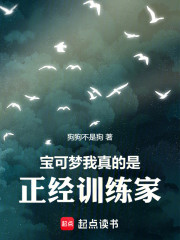 宝可梦：我真的是正经训练家