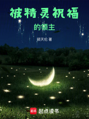 被精灵祝福的领主