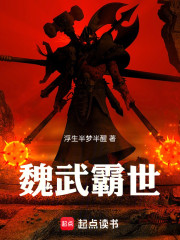 魏武霸世