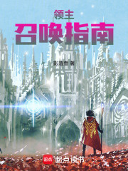 领主召唤指南