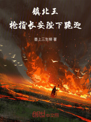 镇北王：枪指长安，陛下跪迎