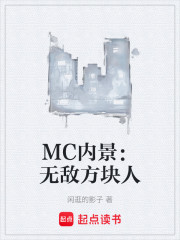 MC内景：无敌方块人