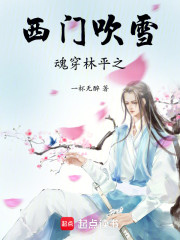 西门吹雪魂穿林平之