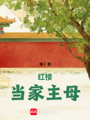 红楼之先杀一个夫